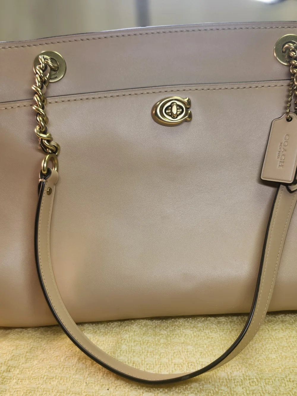 Coach Blush Leather Chain-Handle Shoulder Bag